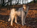 1111  Felix-SAM_0680-1-Kopie